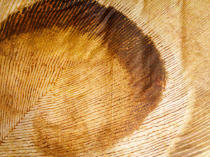 Dekbedovertrek Kayori Ikeda Nougat detail