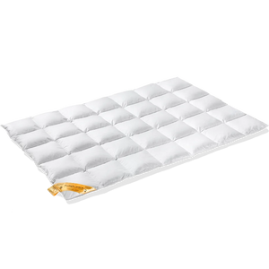 Vandyck Dekbed Astro 90% Ganzendons - enkele uitvoering