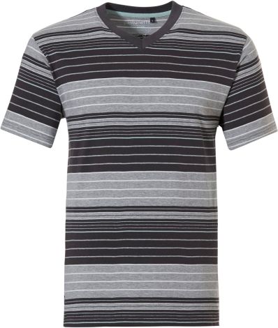 Korte Mouwen T-shirt Pastunette For Men Grijs 4399-627-5